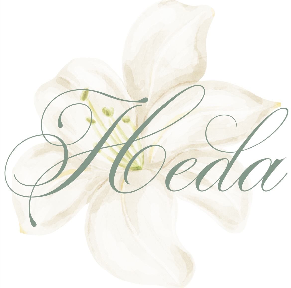 Heda